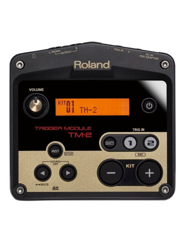 Roland TM-2 модул