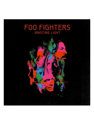 Foo Fighters Wasting Light (2 LP)