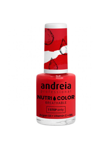 ANDREIA PROFESSIONAL Nutri Color - Care & Colour NC17 Лак за нокти  10,5ml