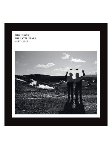 Pink Floyd - The Later Years 1987-2019 (2 LP)