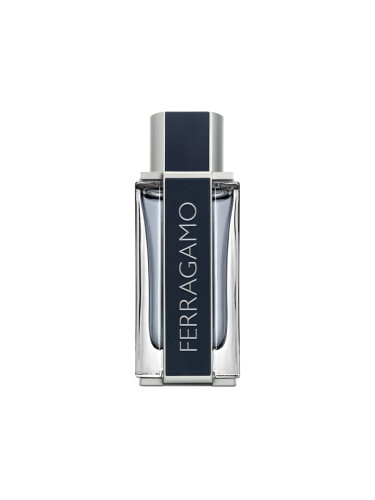SALVATORE FERRAGAMO Eau De Toilette Тоалетна вода (EDT) мъжки 100ml