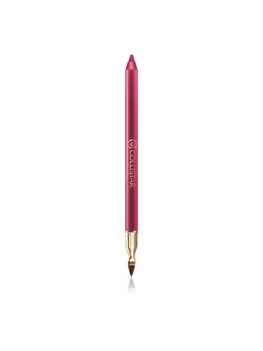 Collistar Professional Lip Pencil дълготраен молив за устни цвят 113 Autumn Berry 1,2 гр.