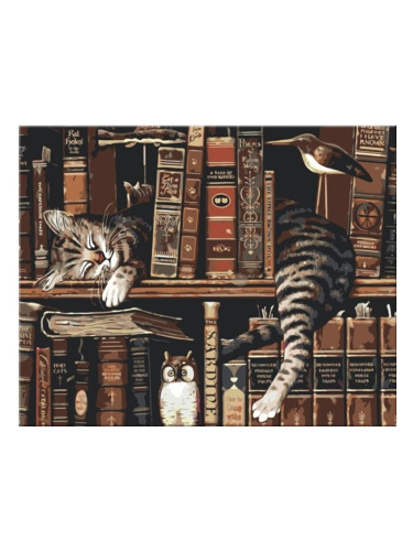 Zuty Мозайка Котка в библиотеката