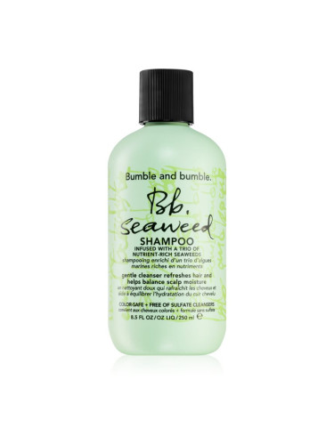 Bumble and bumble Seaweed Shampoo шампоан за къдрава коса с екстракт от водорасли 250 мл.