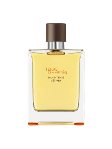 HERMÈS Terre d’Hermès Eau Intense Vétiver парфюмна вода за мъже 200 мл.