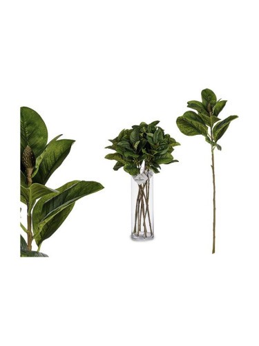 Декоративно Растение Листи Пластмаса (80 cm)