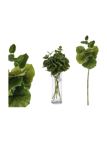 Декоративно Растение Листи Пластмаса (75 cm)