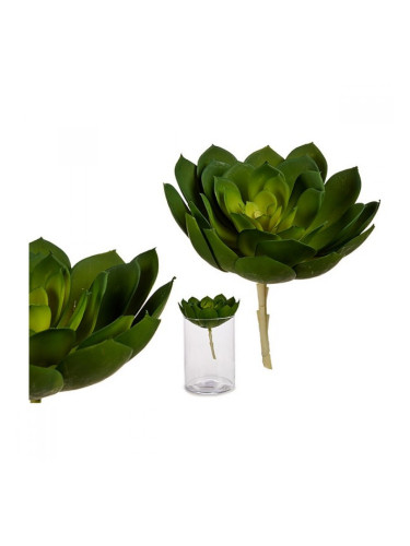 Декоративно Растение Лист Фино острие