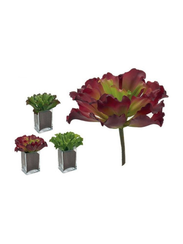 Декоративно Растение Листи 3 (23 x 22 x 22 cm)