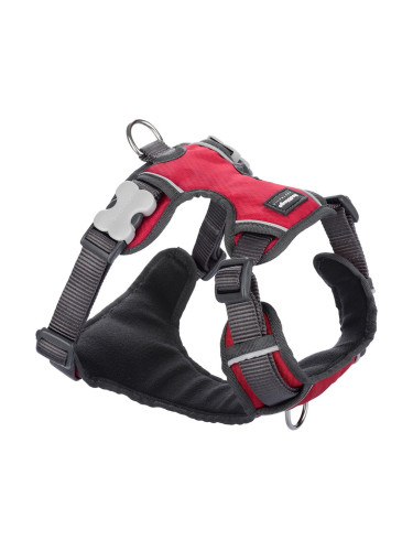 Каишка за Куче Red Dingo Подложка Червен Размер М