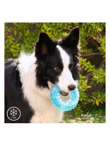 Замразяваща се Играчка за Дъвчене за Домашни Любимци 2 в 1 Glubiz InnovaGoods