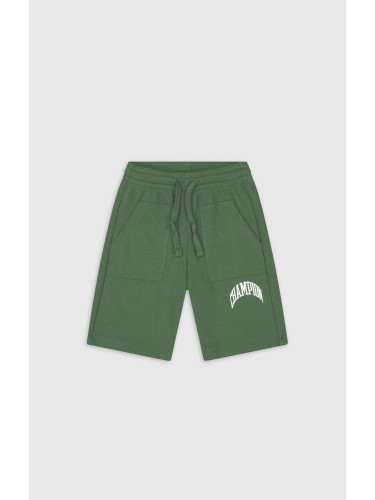 Champion Authentic Athletic Apparel Панталон  зелено / бяло