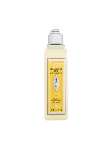 L'Occitane Citrus Verbena Fresh Shampoo Балсам за коса за жени 250 ml
