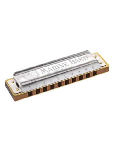 Hohner M1896056x Диатонична устна хармоника