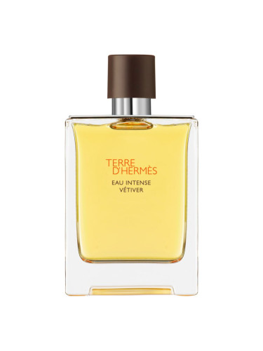 HERMÈS Terre d’Hermès Eau Intense Vétiver парфюмна вода за мъже 100 мл.
