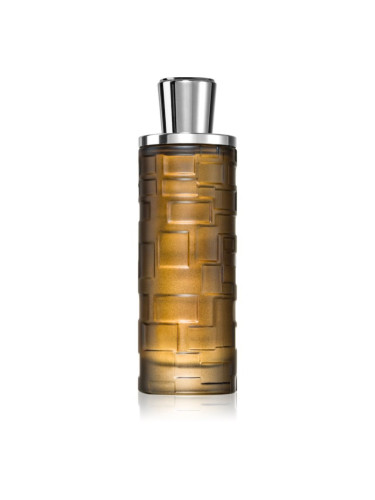 Al Haramain Mystique Homme парфюмна вода за мъже 100 мл.