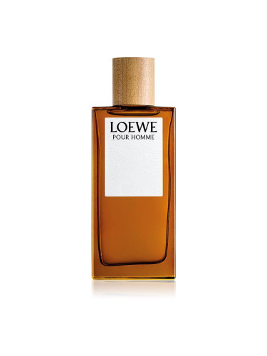 Loewe Loewe Pour Homme тоалетна вода за мъже 100 мл.