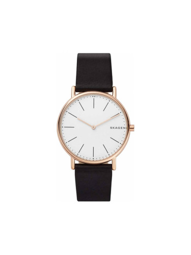 Часовник Skagen Signatur SKW6430