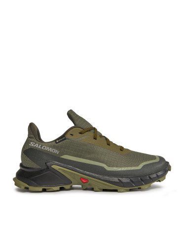 Маратонки за бягане Salomon Alphacross 5 Gtx GORE-TEX 473103 29 W0 Зелен