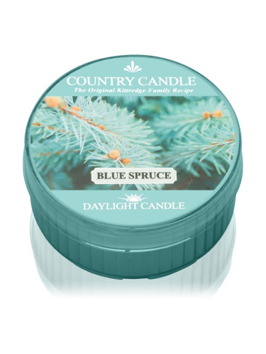 Country Candle Blue Spruce чаена свещ 42 гр.