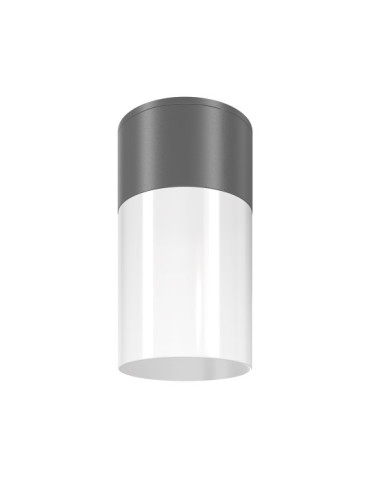 Фасадна луна за външен монтаж MAYTONI O418CL-01GR WILLIS