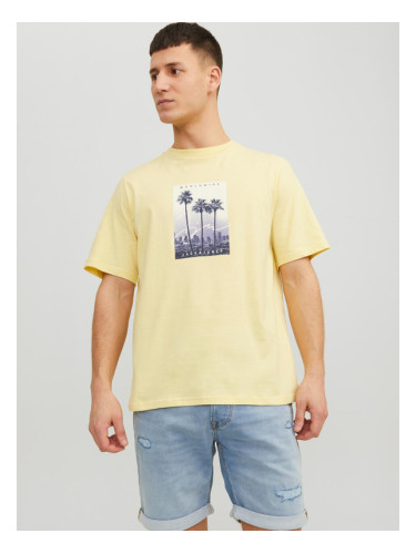 Jack & Jones Splash T-shirt Zhalt