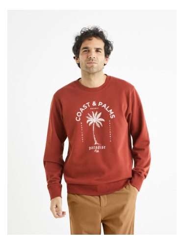 Celio Begrif Sweatshirt Cherven