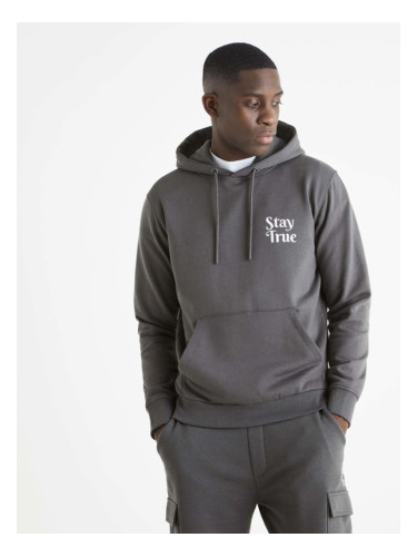 Celio Sweatshirt Siv