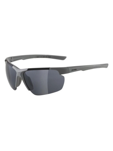 Alpina Sports DEFEY HR Слънчеви очила, тъмносиво, размер