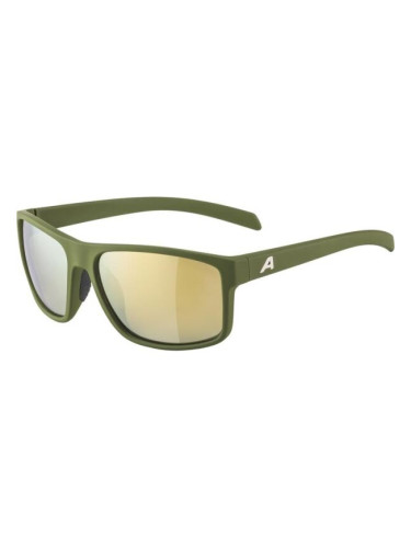 Alpina Sports NACAN I Слънчеви очила, тъмнозелено, размер