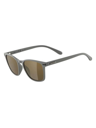 Alpina Sports YEFE Слънчеви очила, тъмносиво, размер