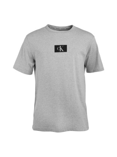 Calvin Klein ´96 GRAPHIC TEES-S/S CREW NECK Мъжка тениска, сиво, размер