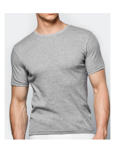 Men's short-sleeved T-shirt ATLANTIC - light grey