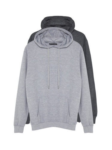 Trendyol Gray 2 Pack Regular/Normal Cut Basic Hooded Sweatshirt