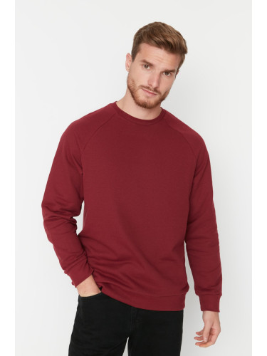 Мъжка блуза. Trendyol Raglan