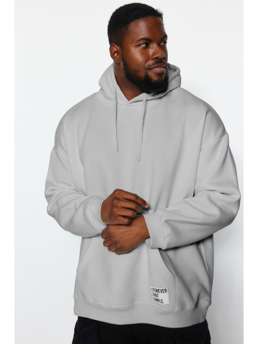 Trendyol Grey Plus Size Hooded Labeled Fleece/Warm Sweatshirt