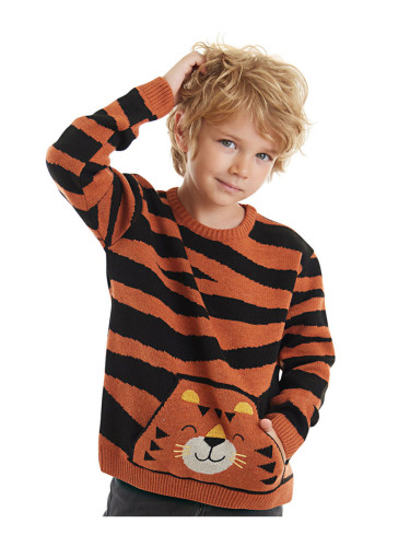 Denokids Tiger Boy Brown Sweater