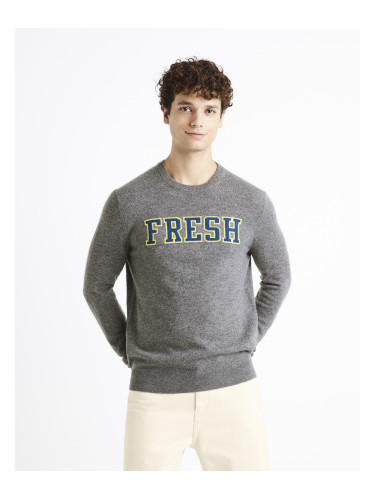 Celio Wool Sweater Cenormal - Men's