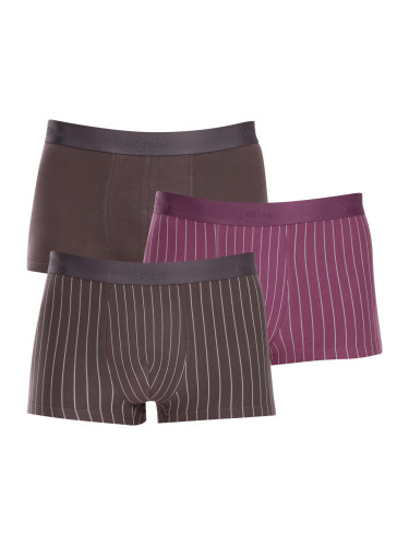 3PACK men's boxers S.Oliver multicolored