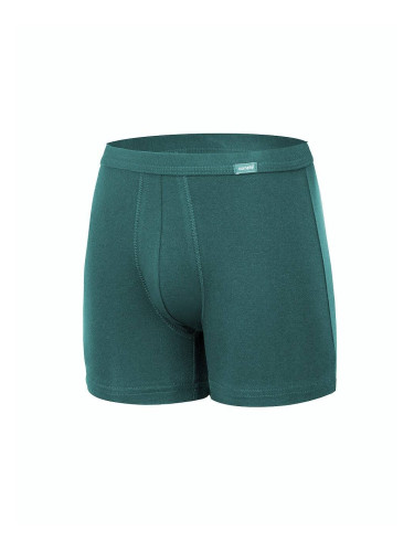 Boxer shorts Cornette Authentic Perfect 092 3XL-5XL petrol 076