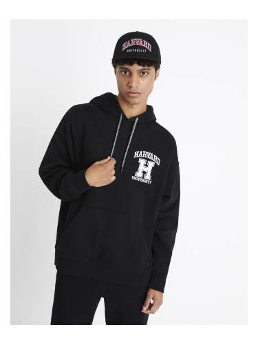 Harvard University Celio Hoodie - Men's