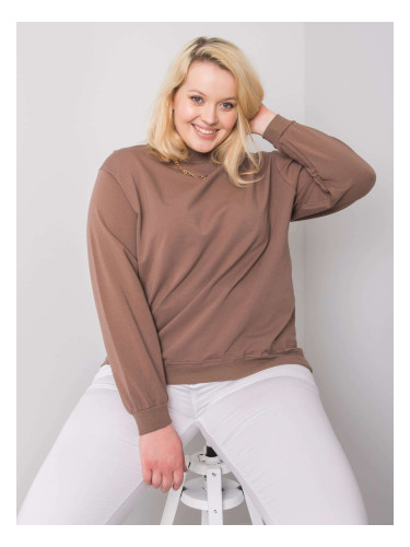 Sweatshirt-RV-BL-6299.11-brown