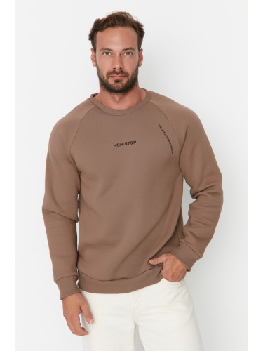 Trendyol Mink Regular/Normal Cut Raglan Sleeve Text Printed Sweatshirt