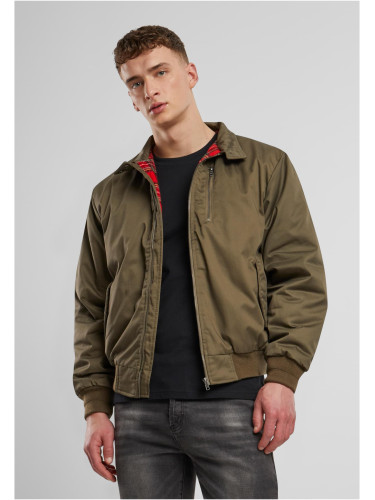 Lord Canterbury's Winter Olive