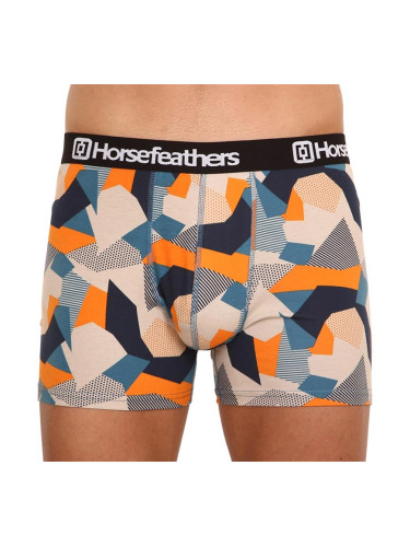 Men's boxers Horsefeathers Sidney Polygon