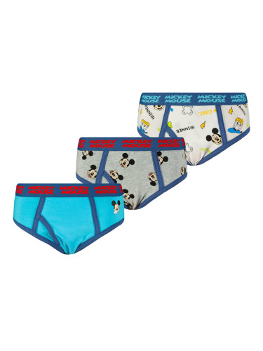 Boy's briefs Mickey Mouse 3P - Frogies