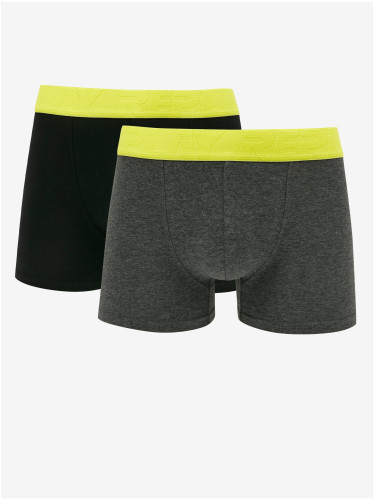 Set of two men's boxers in black and dark grey Replay - Men