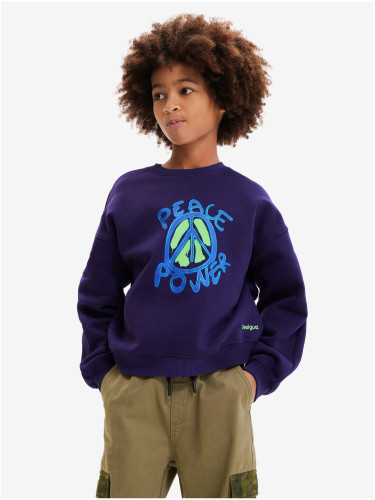 Dark blue boys' sweatshirt Desigual Arthur - Boys