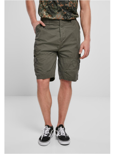 Do you Shorts Olive?