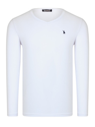 Мъжка блуза. dewberry